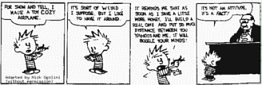 just a calvin/hobbes cartoon